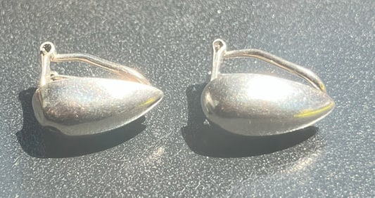 Pair of Silver Earrings