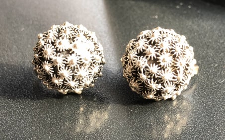 Pair of Silver Earrings