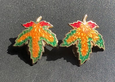 Pair of Earrings