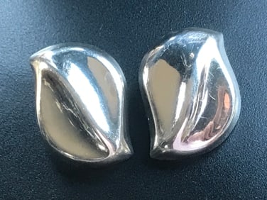 Pair of Silver Earrings