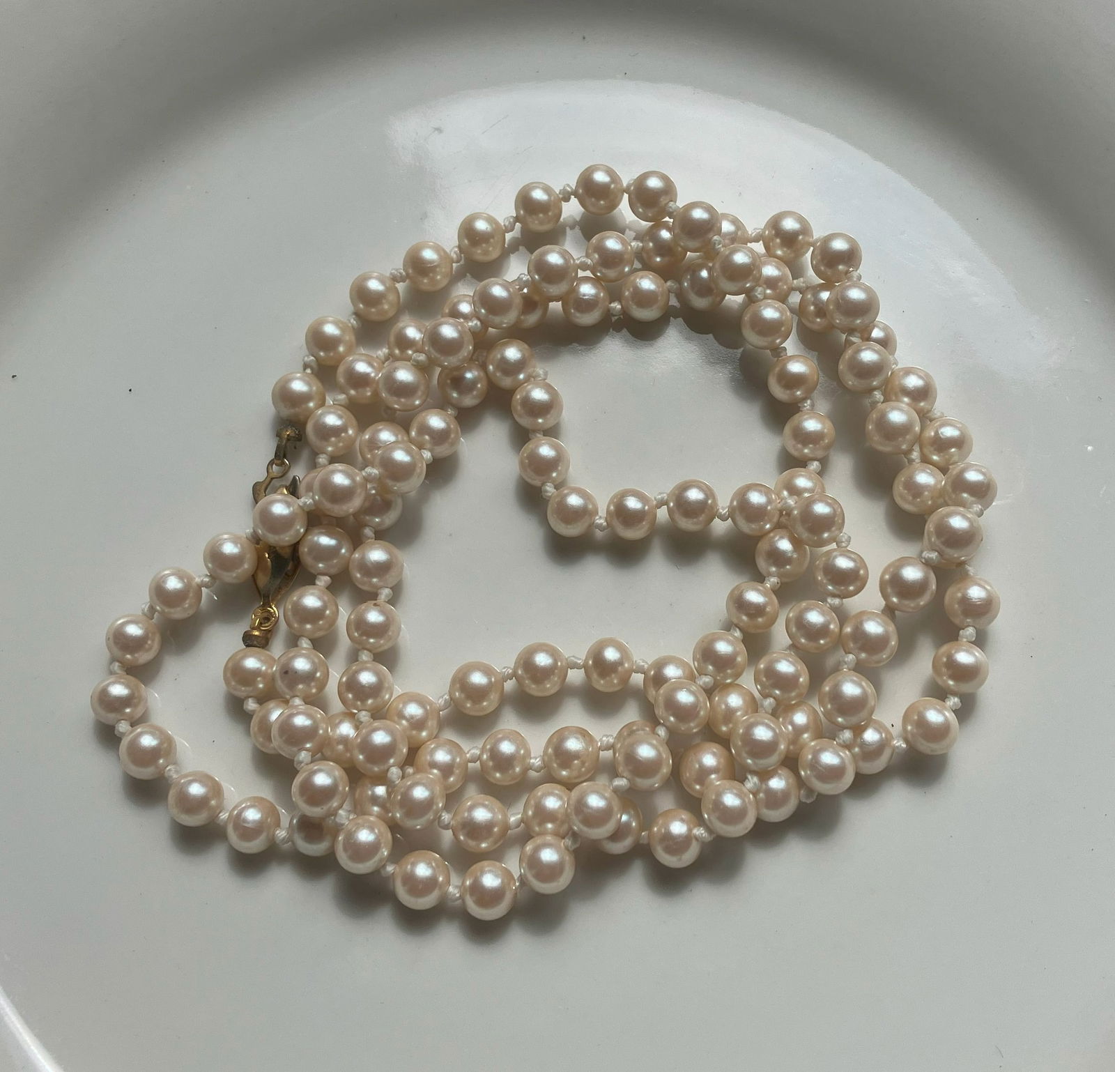 Vintage Necklace (1 of 2)