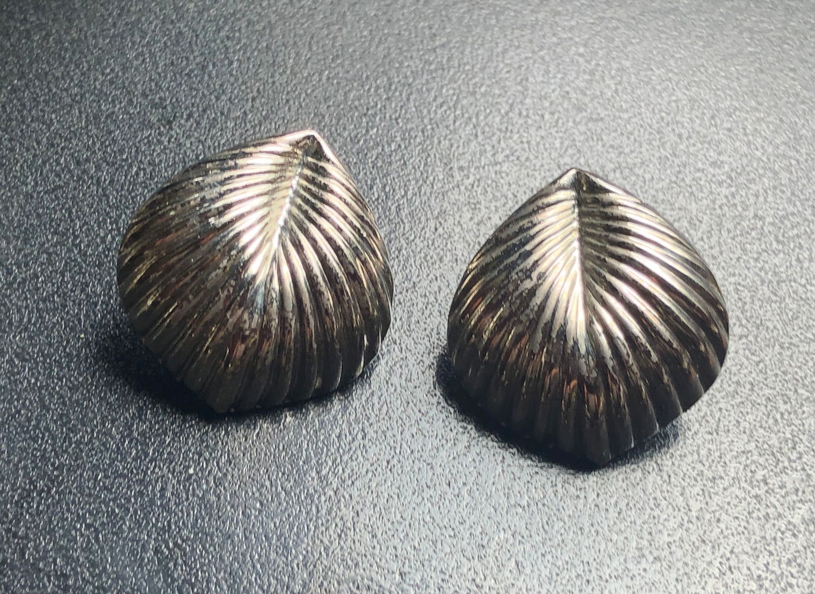 Pair of Silver Earrings: Pair of Silver Earrings