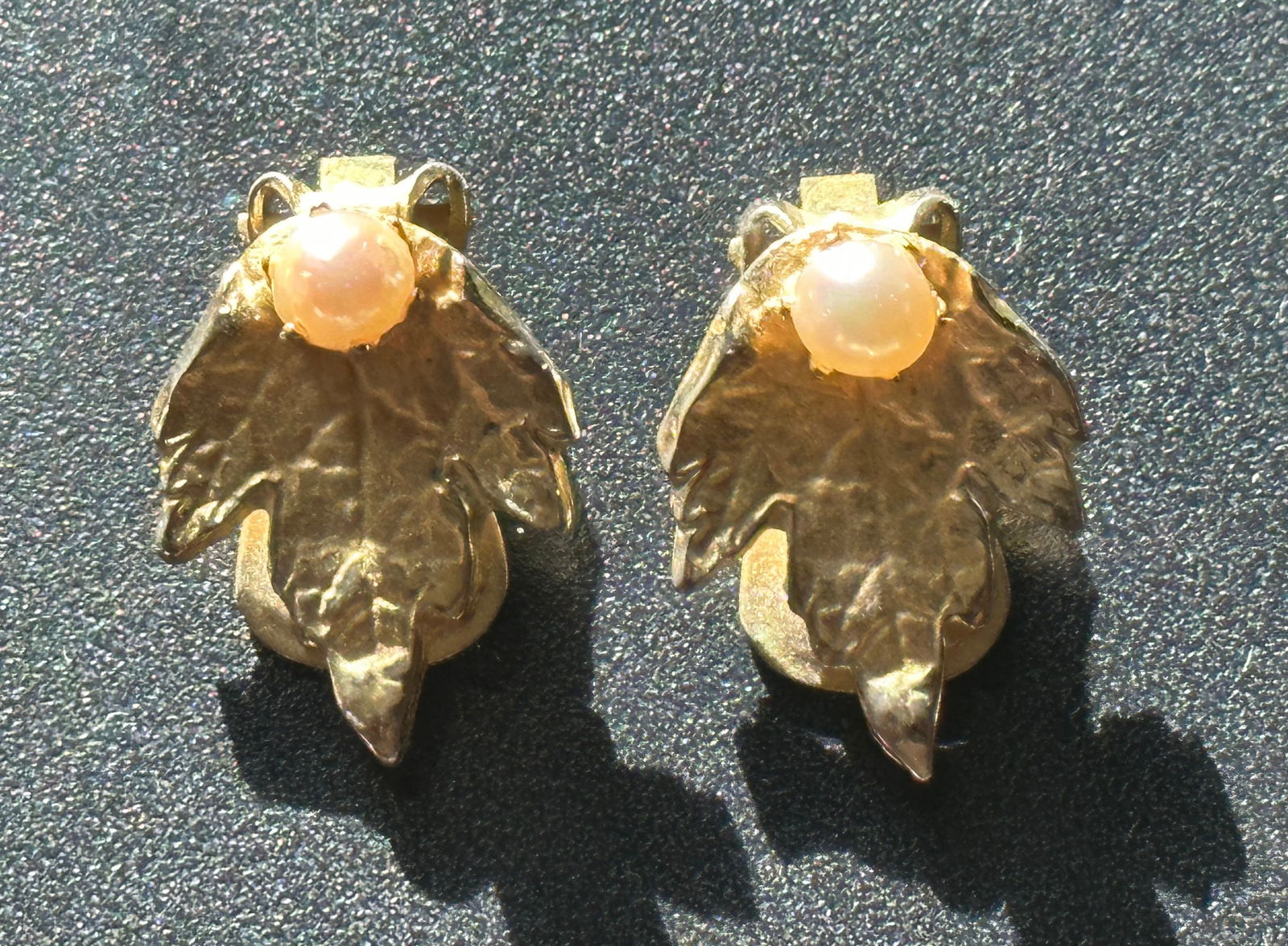 Pair of Earrings: Pair of Earrings