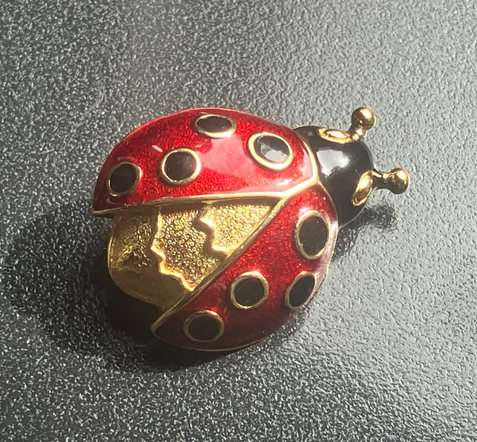 Ladybug Brooch (1 of 2)