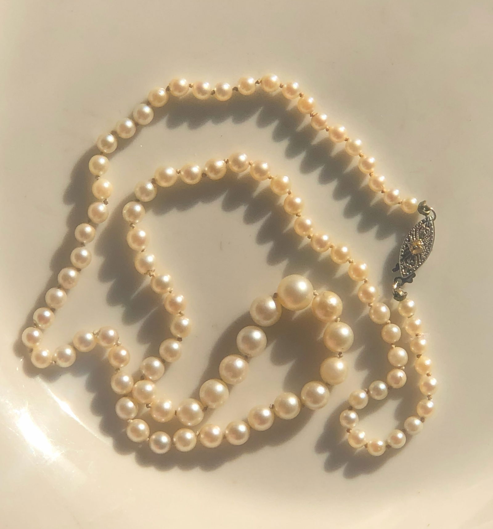 14K Gold Claps Sea Pearl Necklace: 14K Gold Claps Sea Pearl Necklace