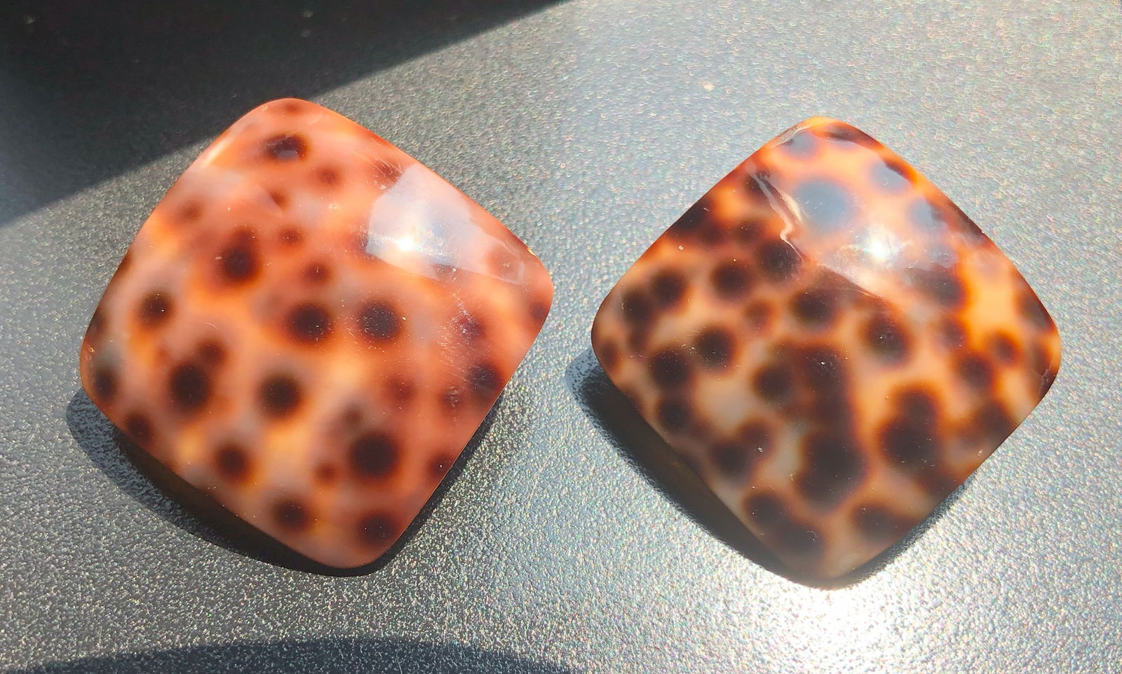 Pair of Earrings: Pair of Earrings