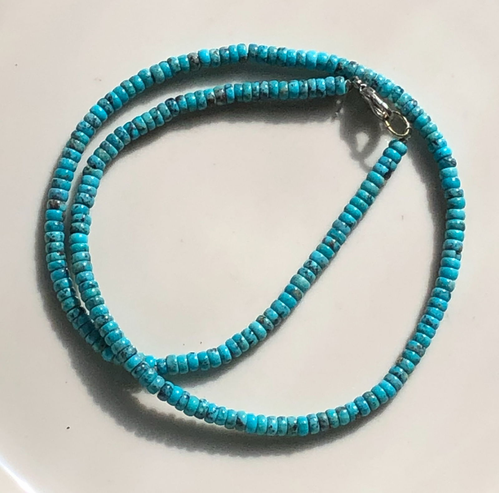 Turquoise Beaded Necklace (1 of 3)
