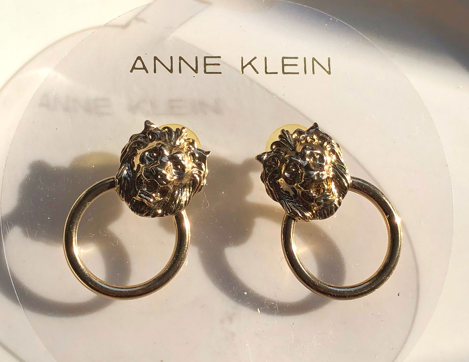 Pair of Earrings: Pair of Earrings