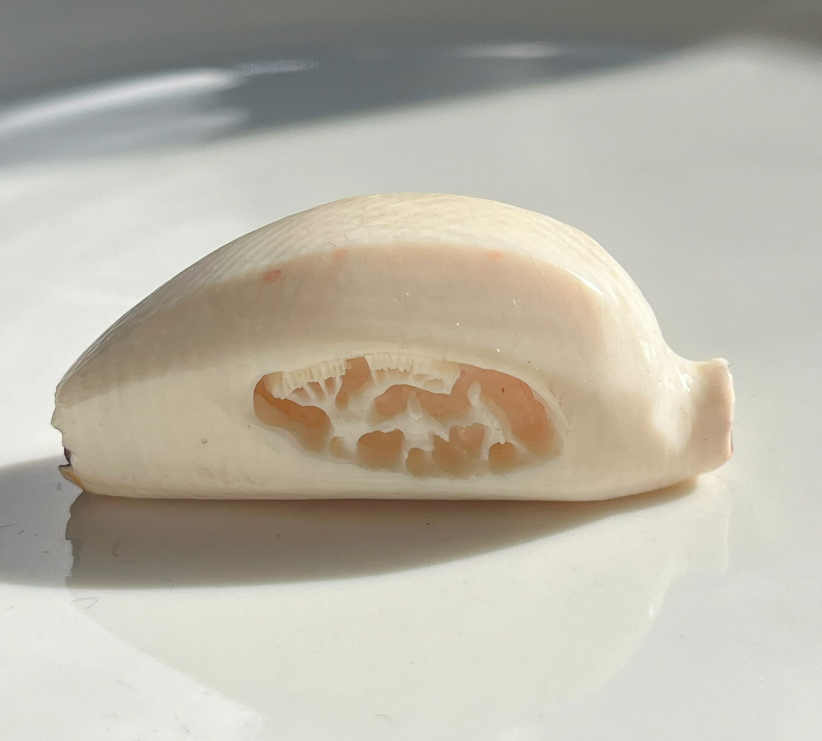 Vintage Carving of Banana: Vintage Carving of Banana