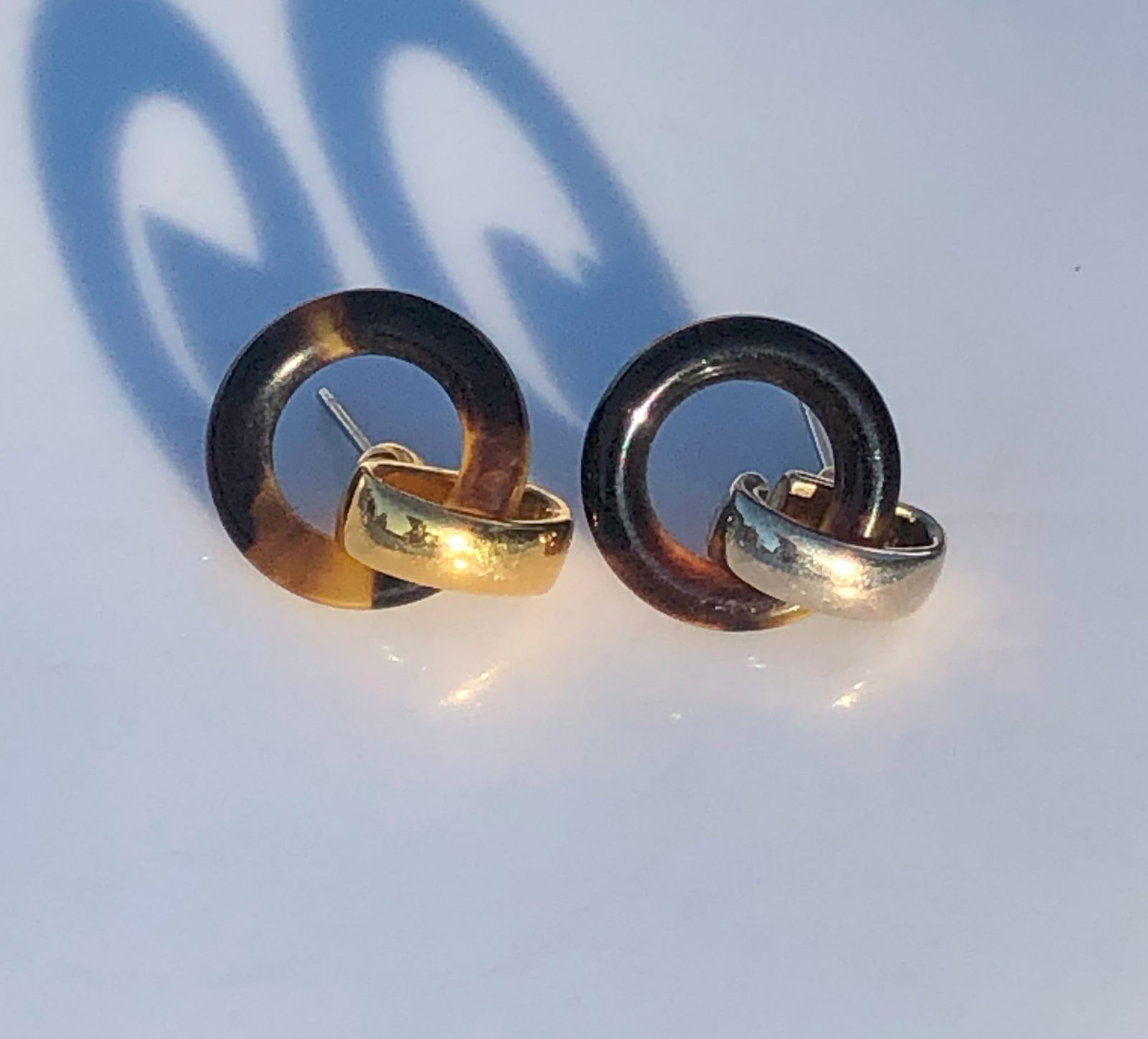 Pair of Earrings: Pair of Earrings