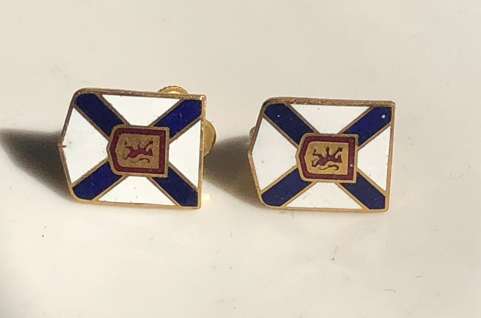 Pair of Earrings: Pair of Earrings