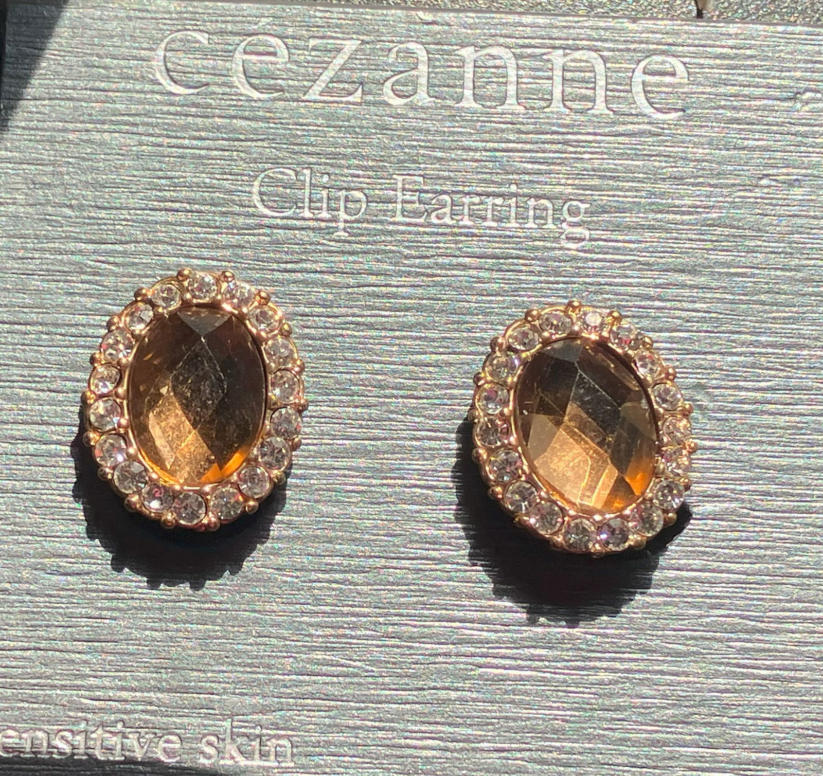 Pair of Earrings: Pair of Earrings