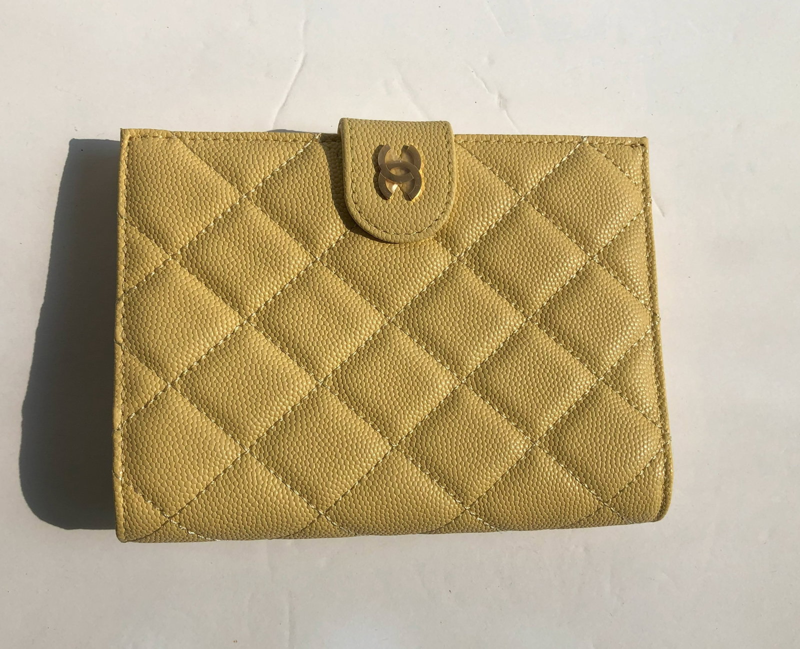 New Passport Holder: New Passport Holder