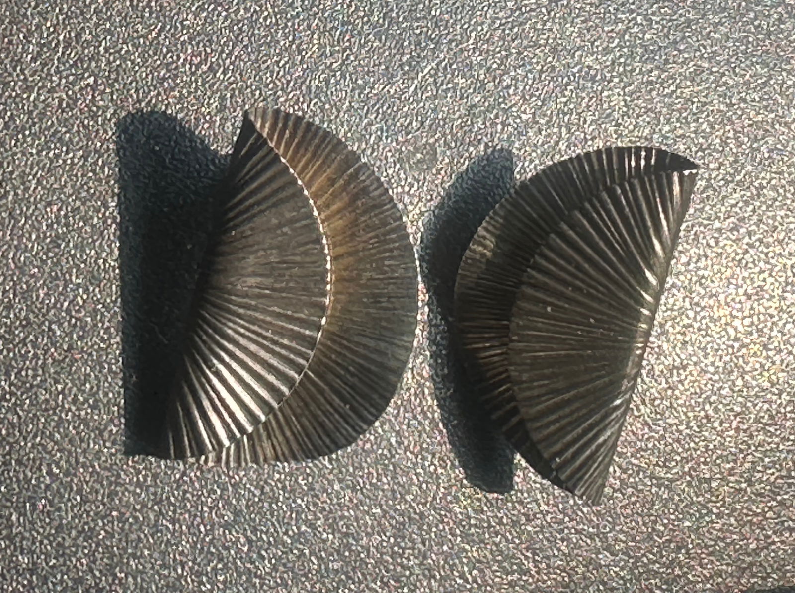 Pair of Silver Earrings: Pair of Silver Earrings
