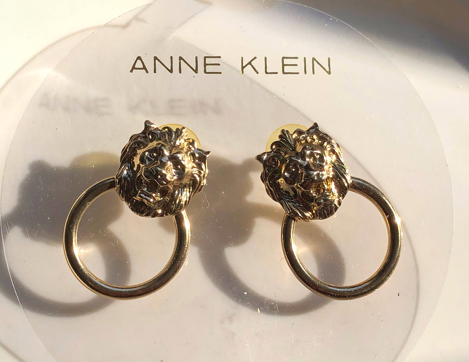 Pair of Earrings: Pair of Earrings