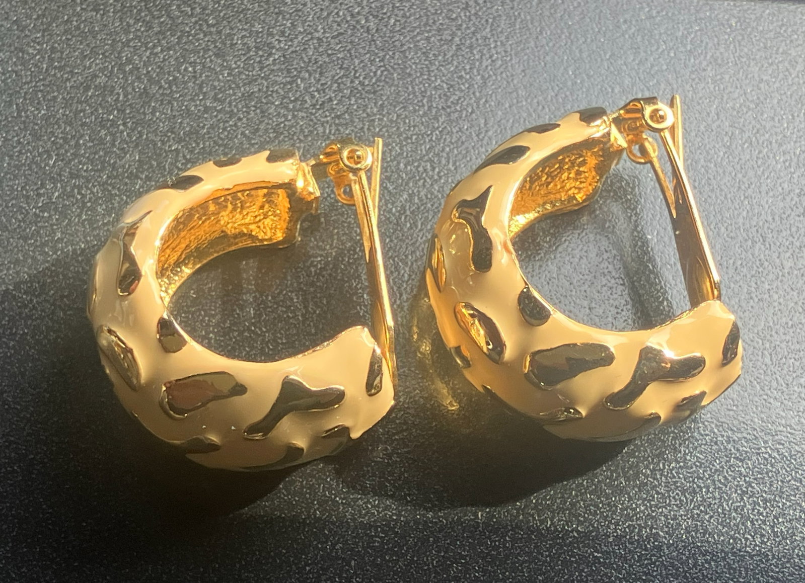 Pair of Earrings: Pair of Earrings