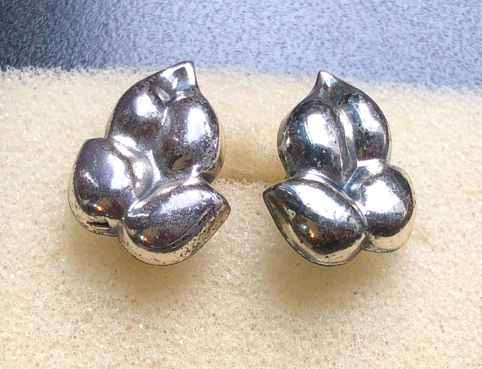 Pair of Silver Earrings: Pair of Silver Earrings