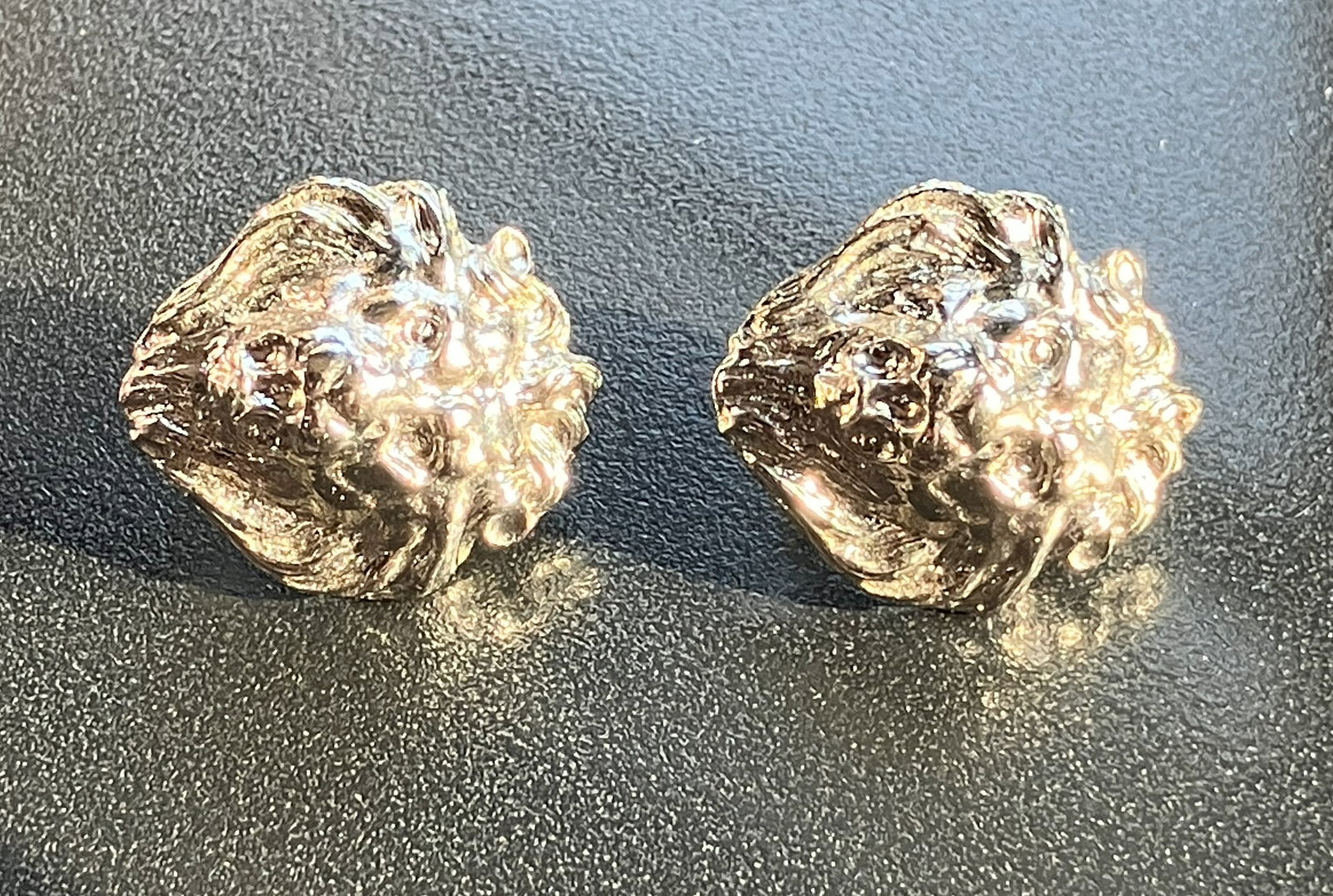 Pair of Earrings: Pair of Earrings
