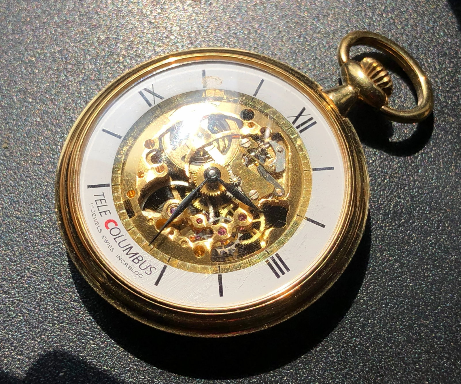 Tele Columbus Swiss Watch (1 of 4)