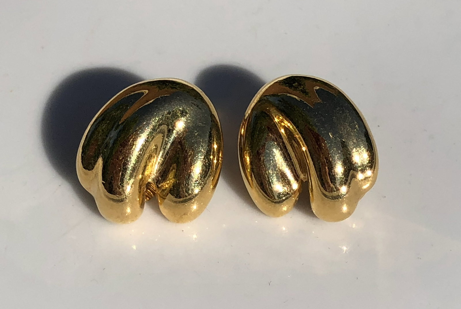 Pair of Gold Filled Earrings