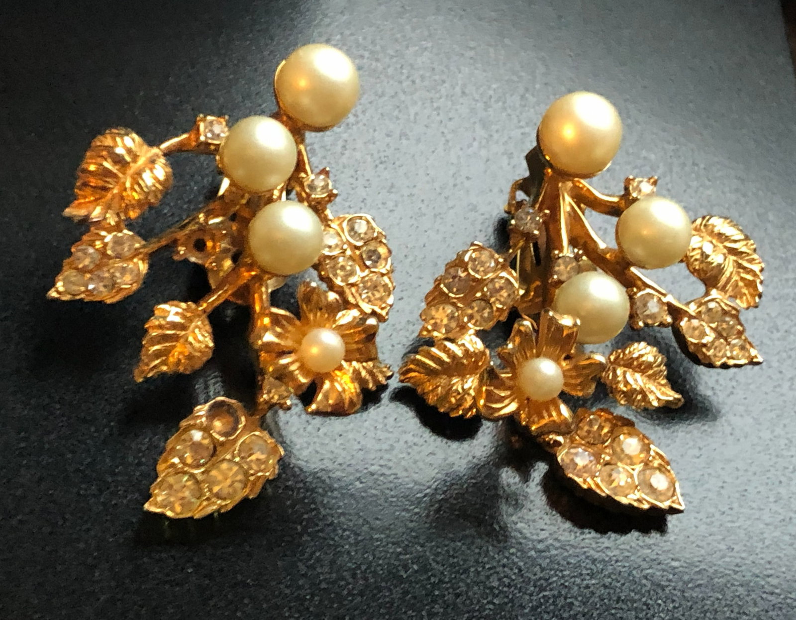 Pair of Earrings: Pair of Earrings