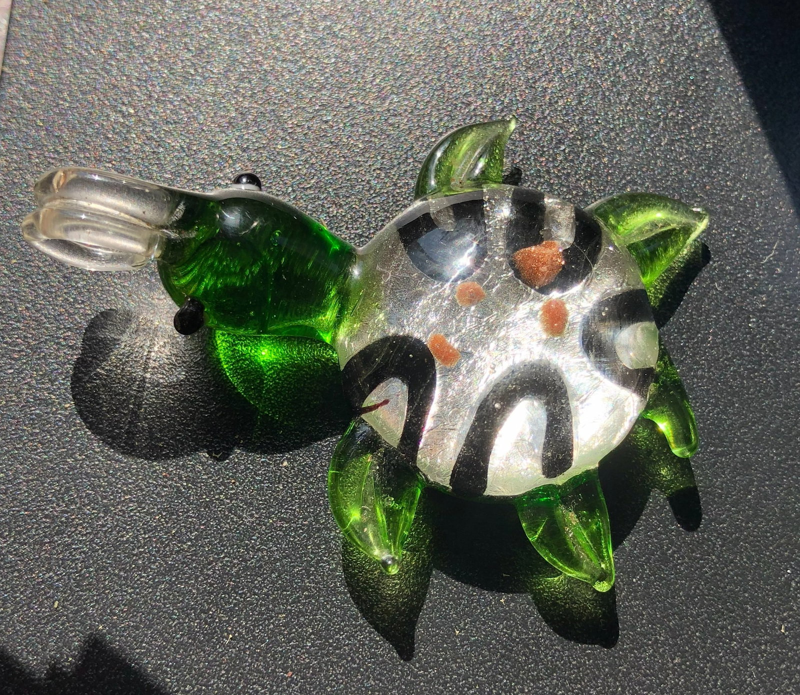 Glass Turtle - 2