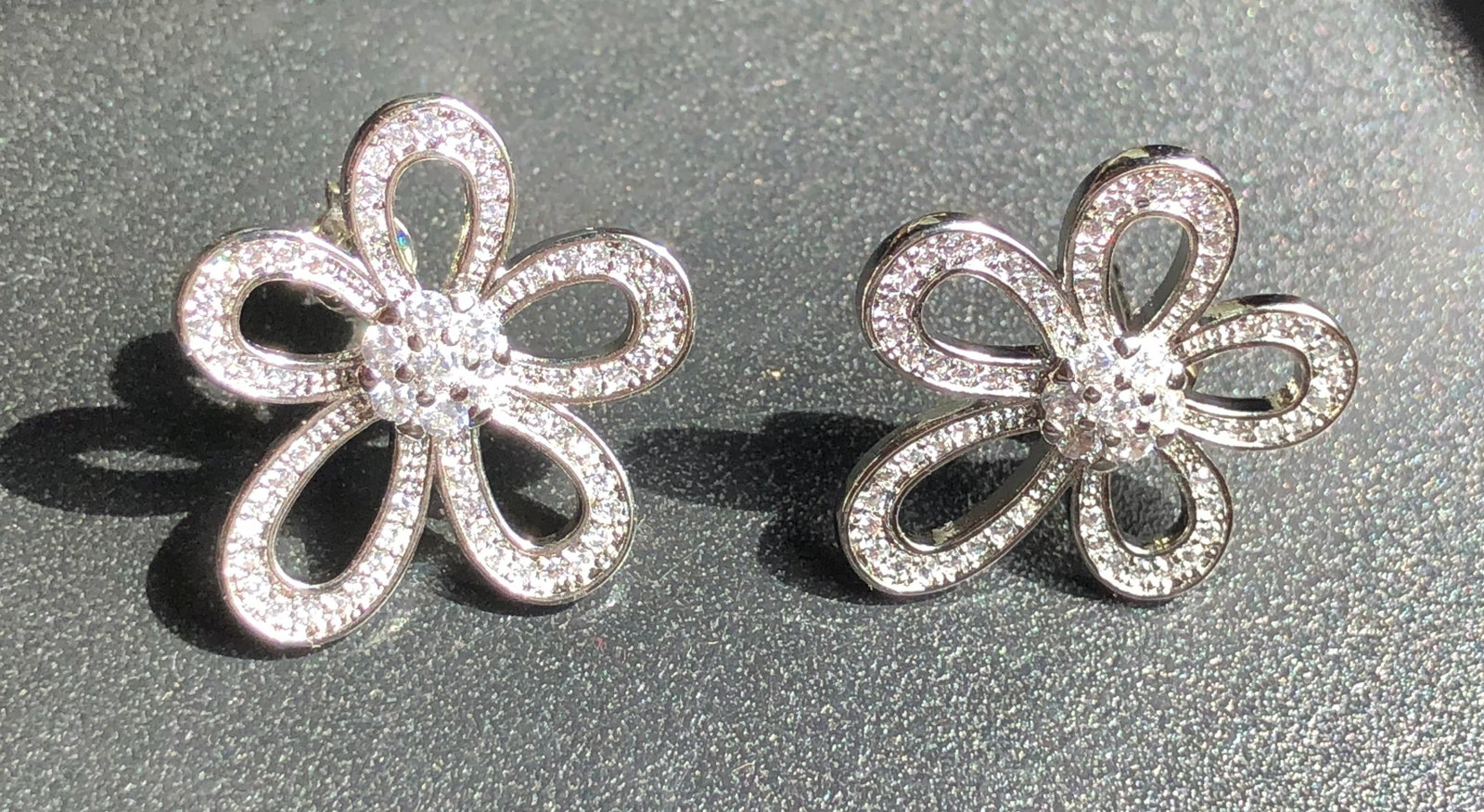 Pair of Earrings: Pair of Earrings