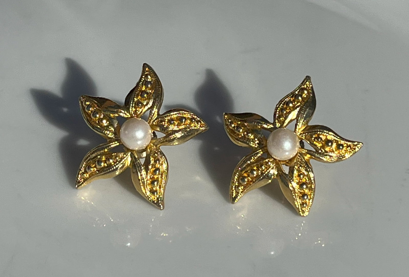 Pair of Earrings: Pair of Earrings