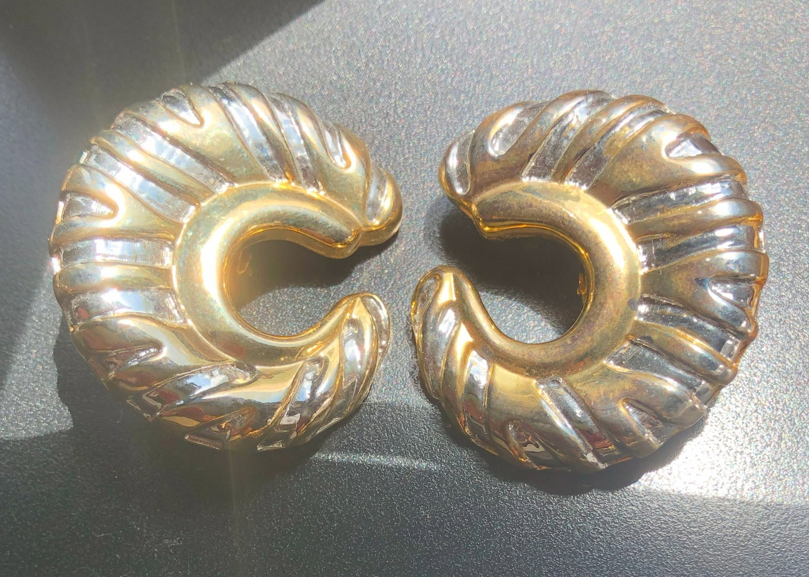 Pair of Earrings: Pair of Earrings