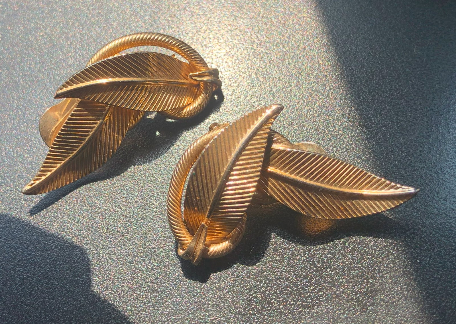 Pair of Earrings