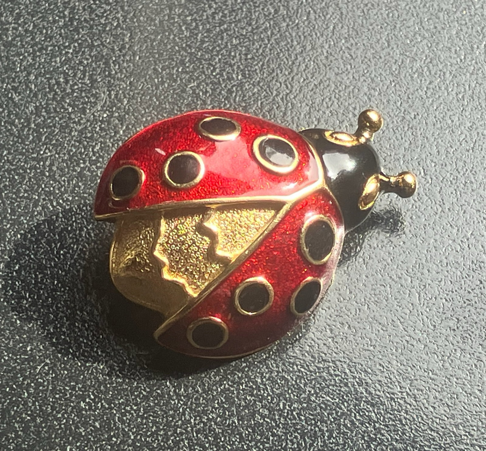 Ladybug Brooch: A charming ladybug brooch with red and black enamel detailing.