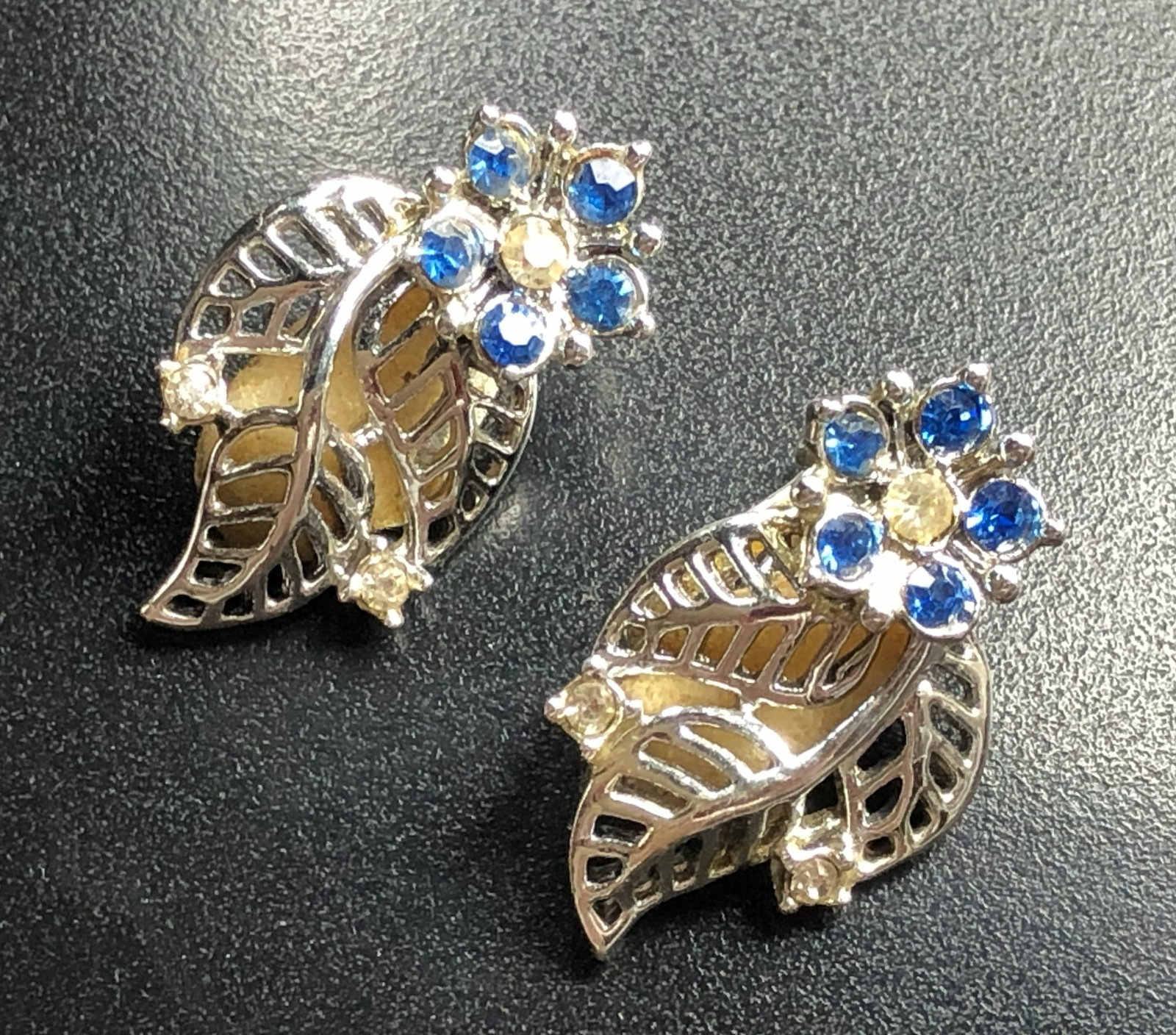Pair of Earrings: Pair of Earrings