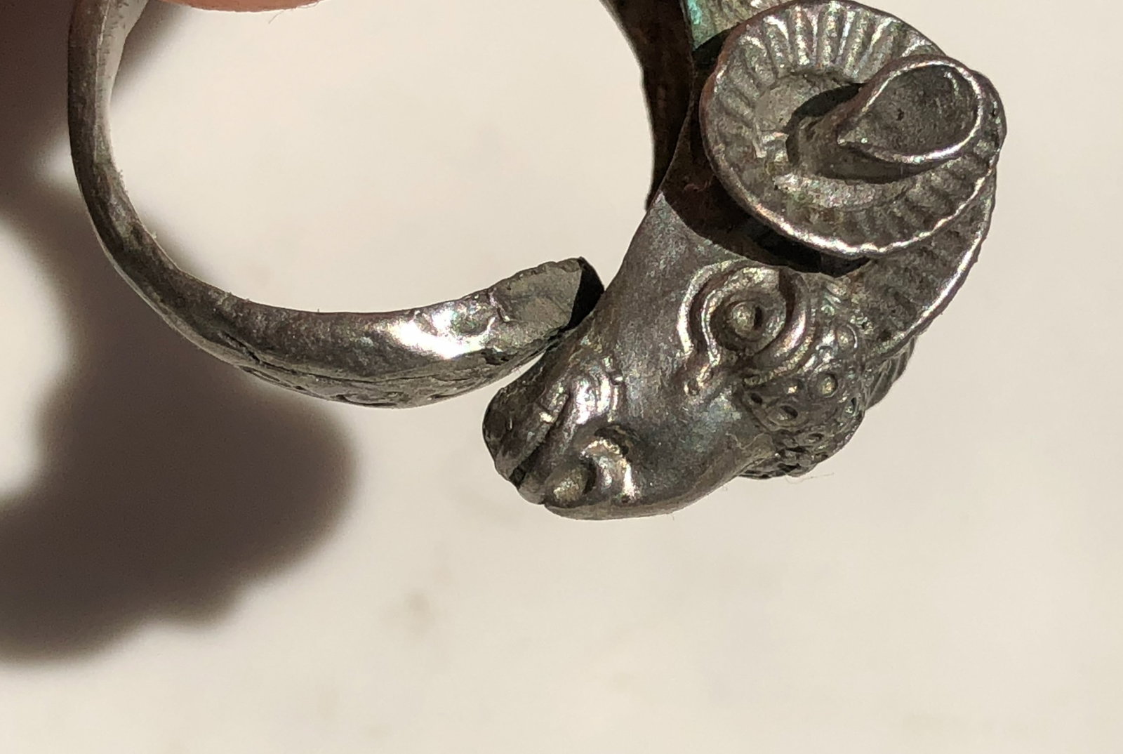 Antique silver Ram Ring - 3