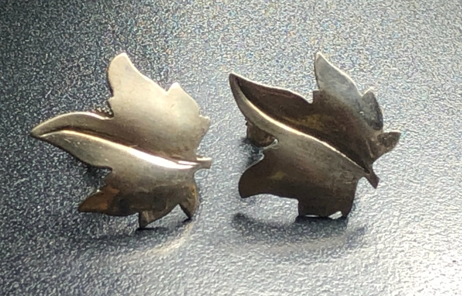 Pair of Silver Earrings: Pair of Silver Earrings