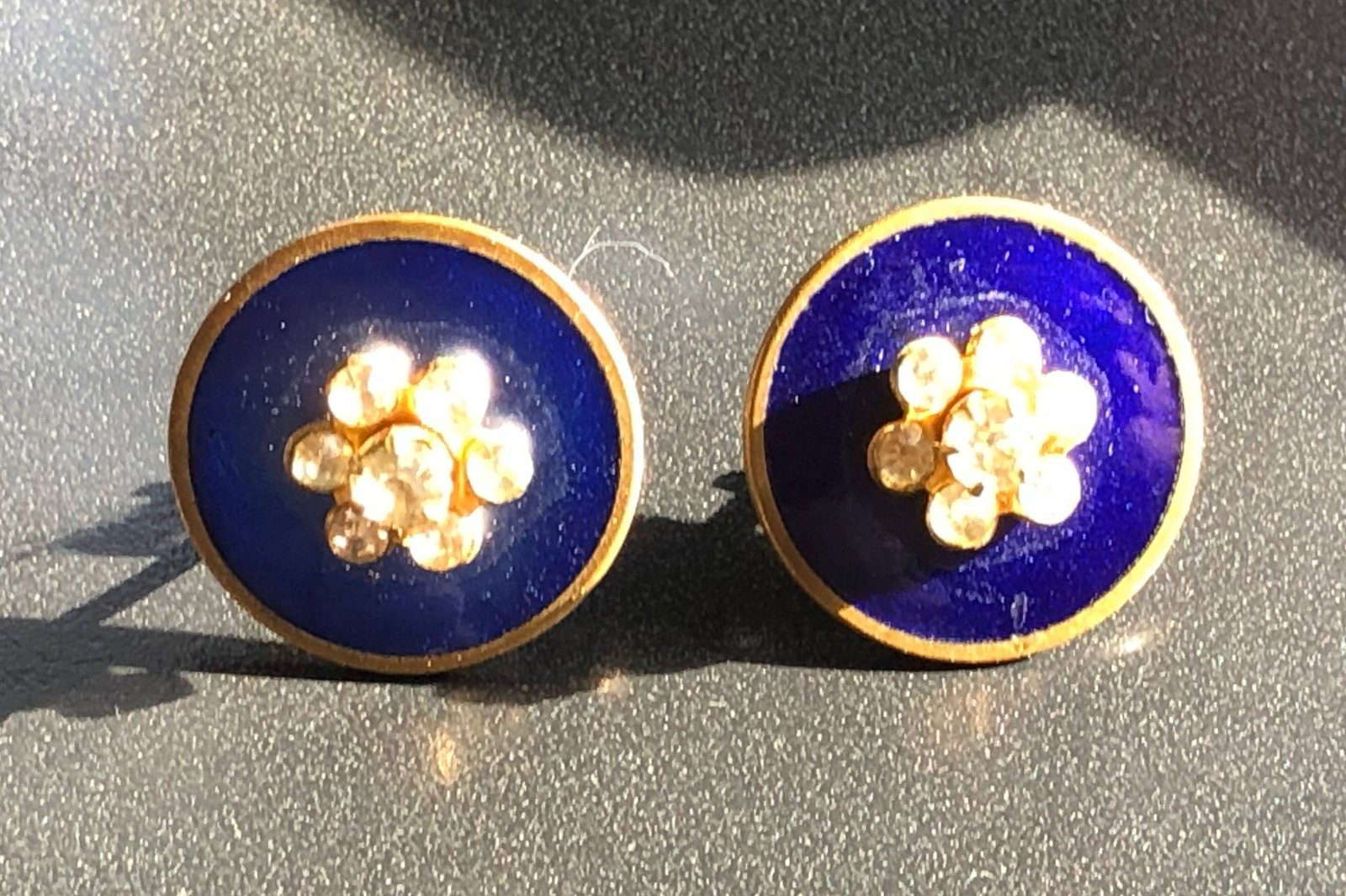 Blue Enamel Earrings: Elegant blue enamel earrings with a floral design.