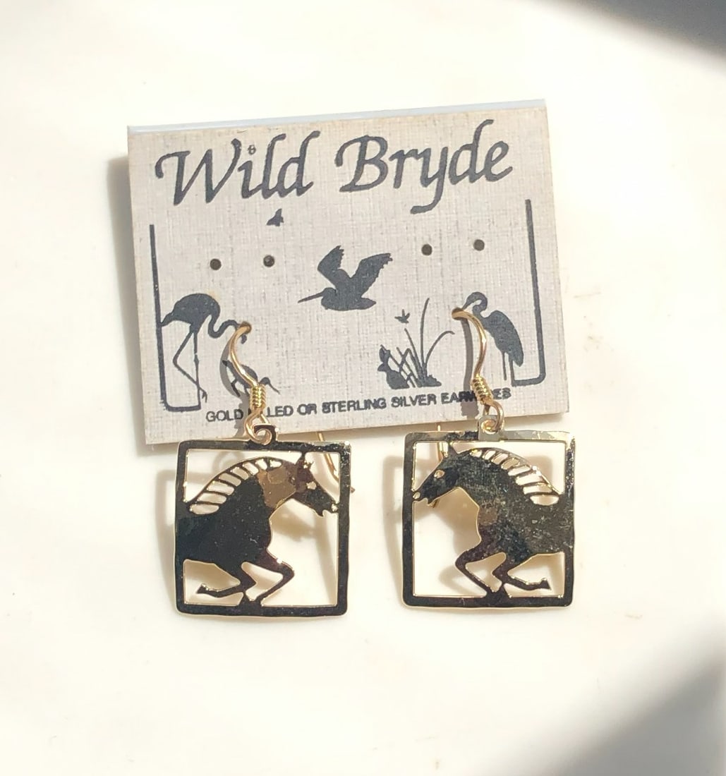 Pair of Silver Earrings: Pair of Silver Earrings