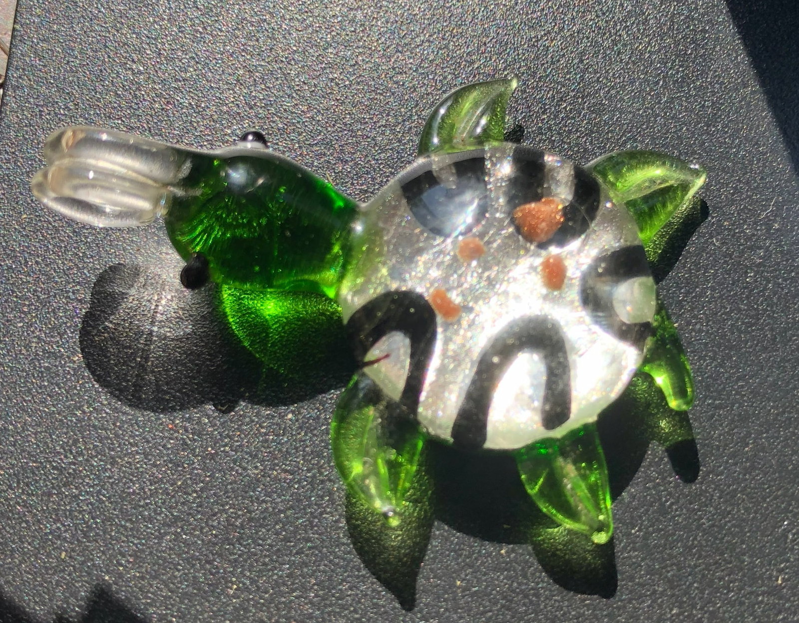Glass Turtle: Glass Turtle