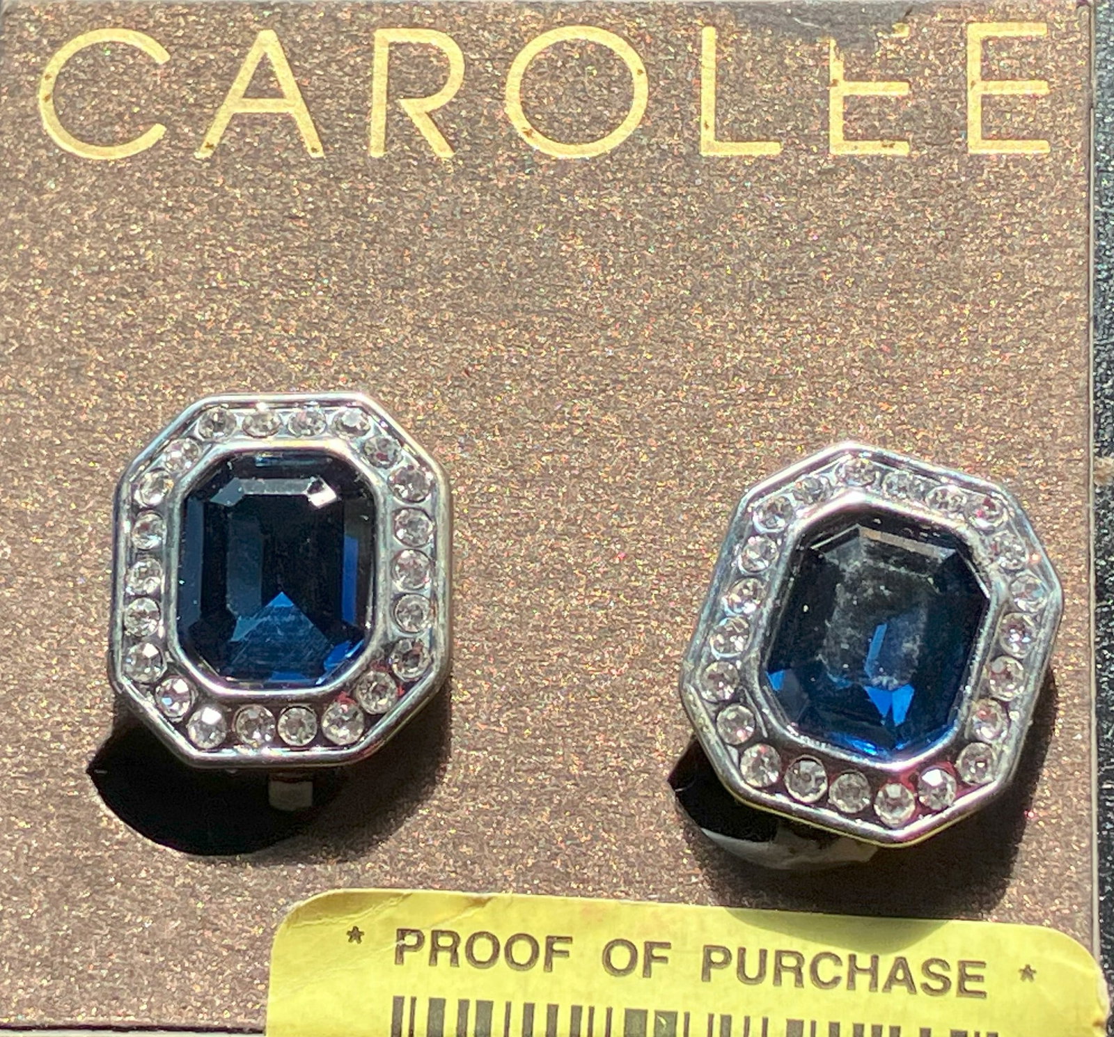 Pair of Earrings: Pair of Earrings