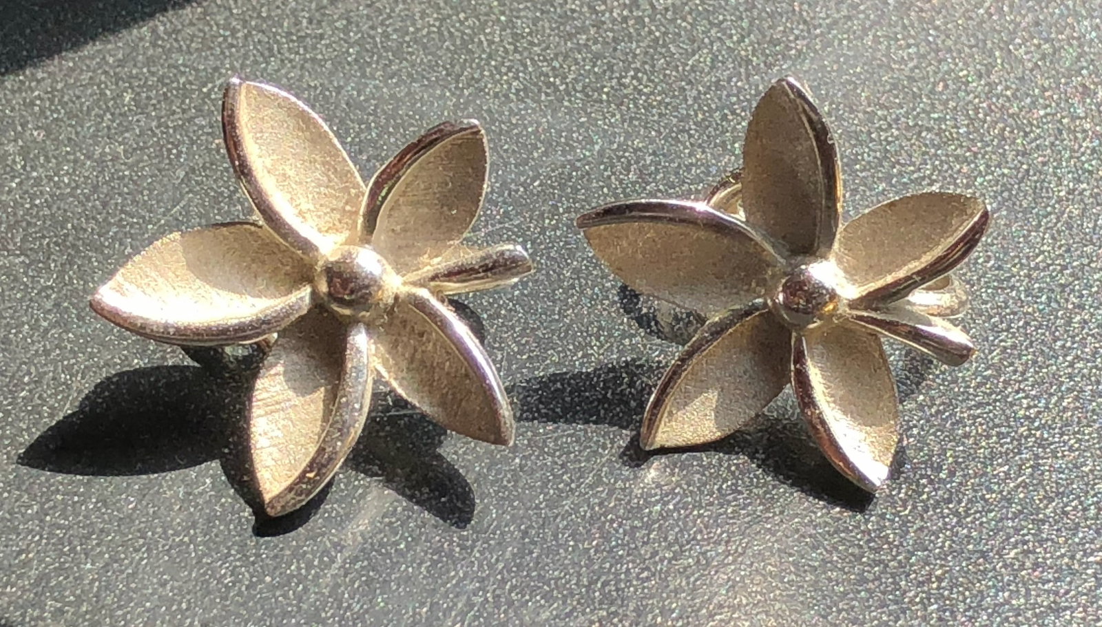 Pair of Earrings: Pair of Earrings