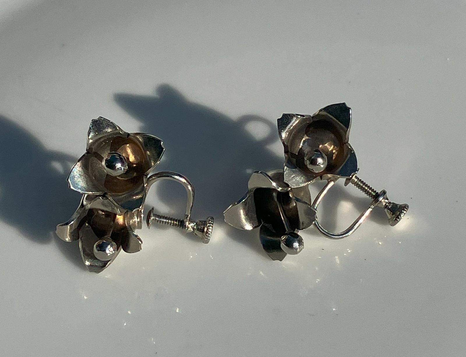 Pair of Earrings