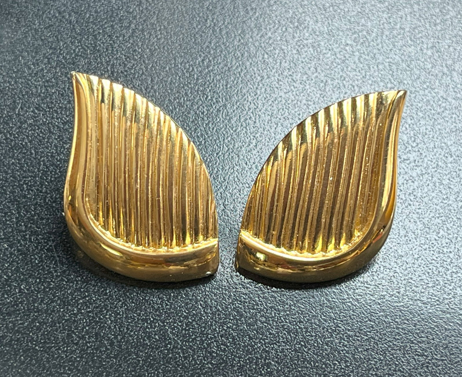 Pair of Earrings: Pair of Earrings