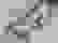 item-38299470=2