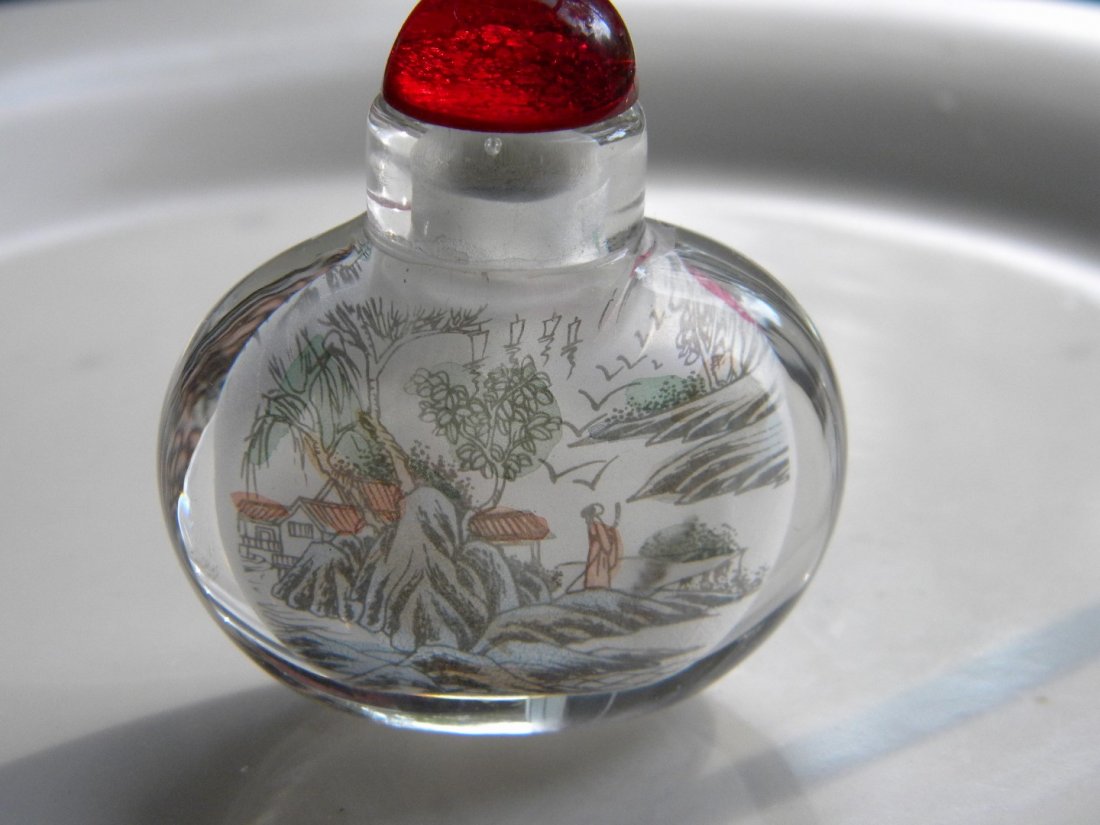 Chinese Inner Painting Snuff Bottle (1 of 5)