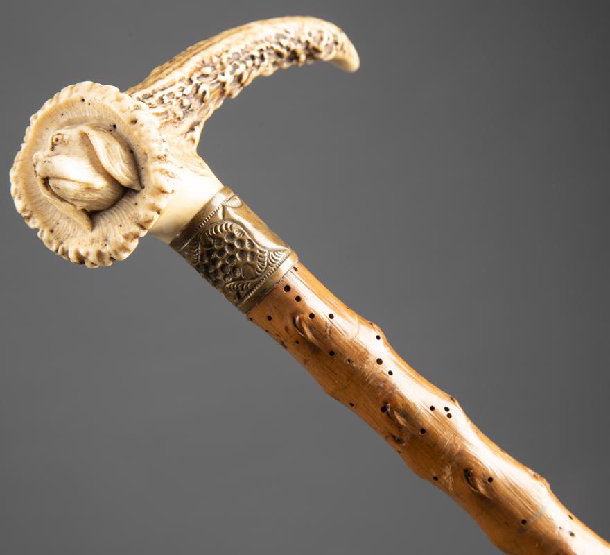 Vintage buckhorn handled Cane with carved dogs head in: Vintage buckhorn handled Cane with carved dogs head in end of handle, shaft measures 33" L, with embossed brass and silver spacer. KING COLLECTION