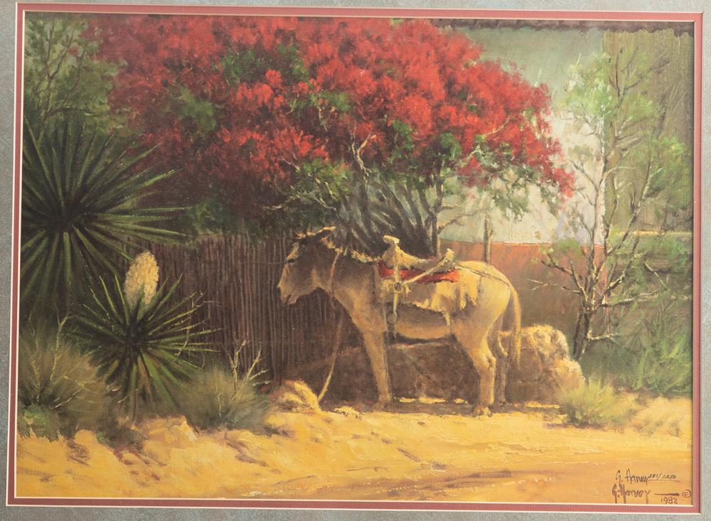Signed and numbered Print with Certificate of: Signed and numbered Print with Certificate of Authenticity verso, by the late G. Harvey, double signed lower right, dated 1982, #281/1250, titled "Flowers of Ixtapan". Print measures 16" x 22" with fr