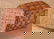 391: Covered New England Indian Basket with Potato Stam - 2