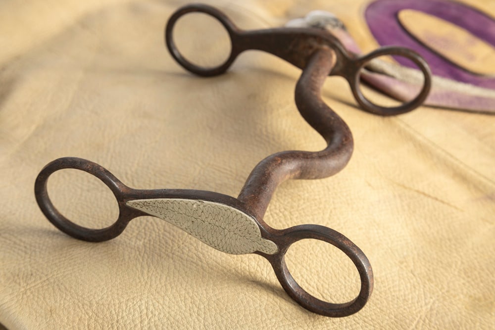 "crockett" Marked Iron Bit With Engraved Silver Overlay Big Leaf On