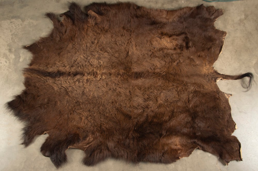 Full size tanned Buffalo Hide Floor Rug, measures 83" L from front to end of tail x 60" W. Very good: Full size tanned Buffalo Hide Floor Rug, measures 83" L from front to end of tail x 60" W. Very good condition.
