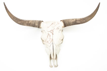 Steer Skull with horn tips, signed by CA Melvin C. Warren, from the Broke W Ranch with some of