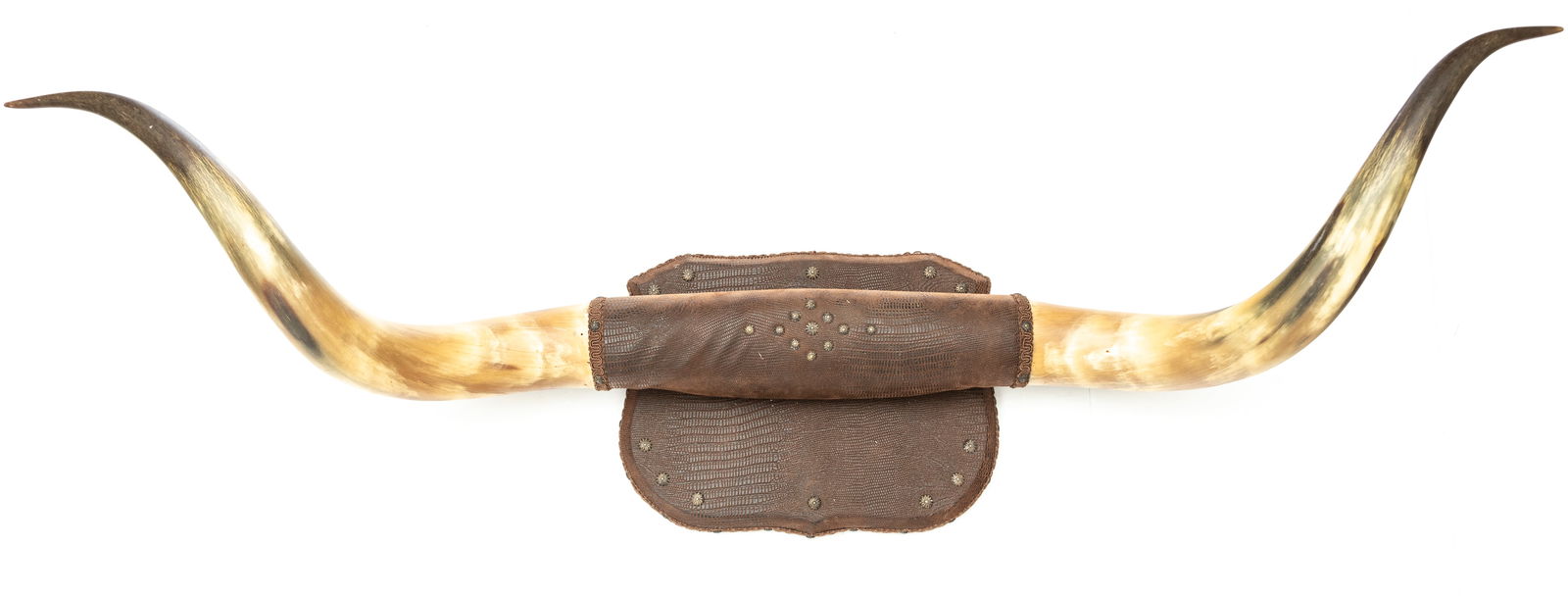 Fine vintage Longhorn Bunk House Hat Rack with 48" spread, fine aged yellow patina. Nice twist.: Fine vintage Longhorn Bunk House Hat Rack with 48" spread, fine aged yellow patina. Nice twist.